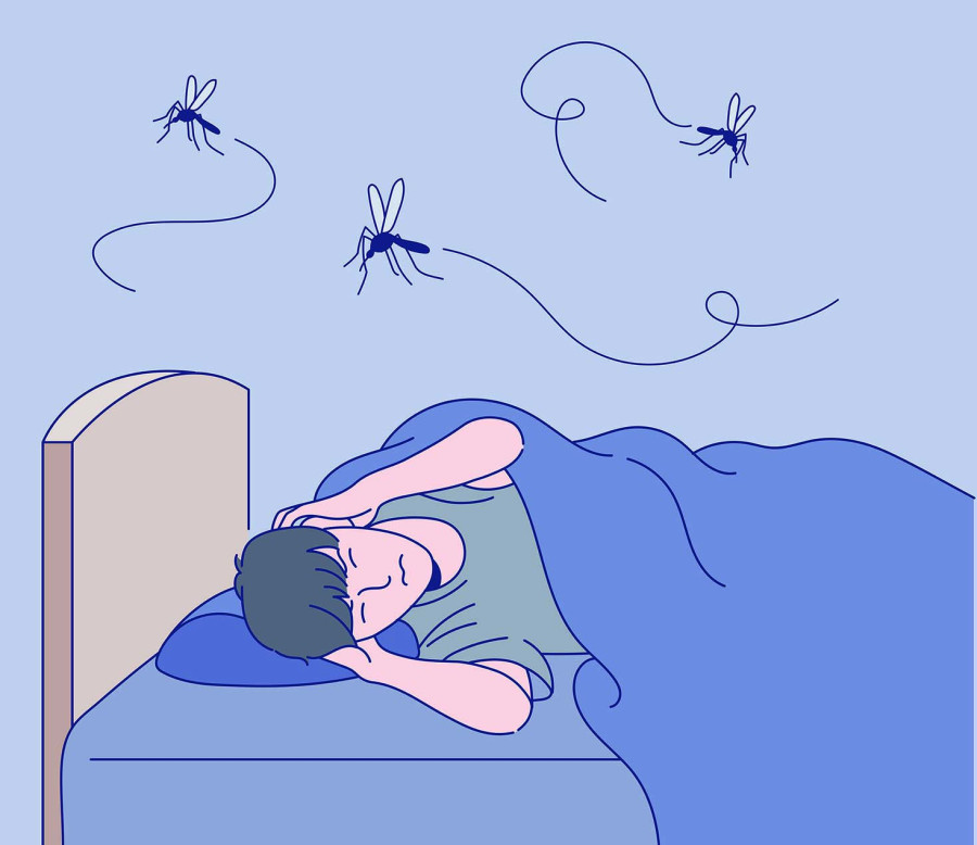 Dealing with anxiety and fear over dengue - Banner Image